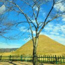 대추밭한의원 이미지