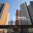 강남-276 이미지