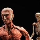 운동을 하다 이미지