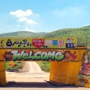 강릉 쌍둥이 동물농장 이미지