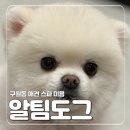 알팀도그
