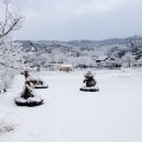 거북이마을 이미지