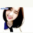 지윤 Daum카페