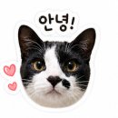 비바호