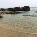 스테이 다로 이미지