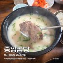 형제곰탕 | 부산 중앙동 밥집 중앙곰탕 | 46년 전통 노포 맛집