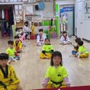 명성태권도 이미지