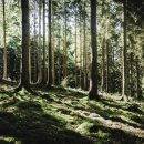 나를 본다 이미지