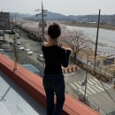 원지강변로 | 경남 진주 근교 벚꽃 명소 산청 원지강변 대형 카페 리버노트