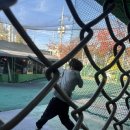 망우당 | ⚾ 망우당공원 야구 연습장 이용 후기