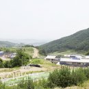 두산1리 이미지