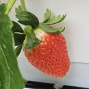 운주산농장 | 경북 영천 당일치기 8인 가족 여행 코스 추천