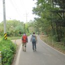 솔향기 쉼터 이미지