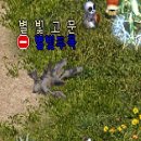 소망카