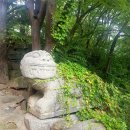 동읍1179 | [창원 맛집] 동읍 40년 전통, 백숙 맛집 : 궁중식 한방 백숙 후기