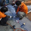 모노덴트 이미지