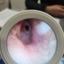 와이덱스 보청기 강남점 이미지