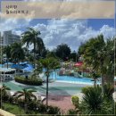 월드프레이트인터내셔날(주) | [ 사이판 월드리조트 2 ] 아이들과 함께하는 사이판 여행 3박 4일