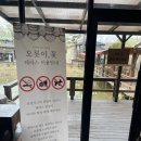 [가평 카페추천] 오롯이꽃 연꽃차·라벤더레몬 후기, 꽃떡쌈까지 제대로 힐링한 날