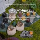 슬로우앤릿