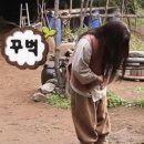 본도시락김해율하점 이미지