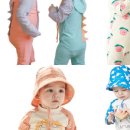 제주조우아 조수 이미지