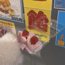 도쿄 스카이트리 전망권 (할인코드), 도쿄 매트로 패스, 모헤지 시부야점, 도쿄타워 일루미네이션 후기