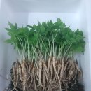 교산농장 이미지