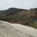 곡성-114 네이버블로그
