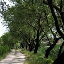 낙동환경개발 이미지