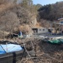 자운1리 마을회관 이미지