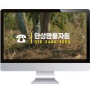 안성만물 이미지