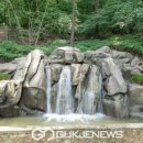 개화산 진입로 이미지