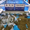 어시장활어회직거래판매장 이미지