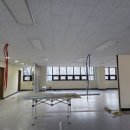 포유 행정사 사무소 이미지