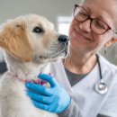 강원동물병원 이미지