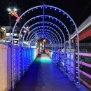 부산대학로 이미지