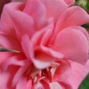 종만농장 이미지