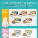 팬시마트 이미지