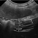 원요진농장 이미지