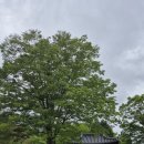 물염정 | 화순적벽