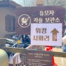 처인 견인차량 보관소 | 용인 에버랜드 로스트밸리 워킹사파리 동물원 후기 주차장