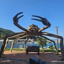 농지조성 | [국내/영덕] 영덕에서 한 달 살아본 솔직 후기 :: 가볼 만한 곳, 카페 추천 (in 영해면)