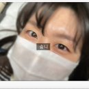 다온피부&속눈썹 이미지