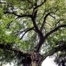 마산삼진중학교 이미지