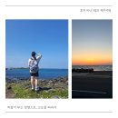 우돈마당 | 202406_제주 우도_우도에서 아침부터 밤까지