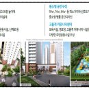 신동아아파트경로당 Daum카페