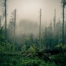 완산-148 이미지