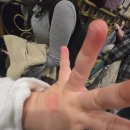 동화와 푸드놀이 | 21개월 아기도 신나게! 롯데월드 어드벤처 두돌 전 영유아 놀이기구 완벽 정복 (키 90cm 미만 꿀팁)