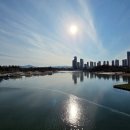 호수행정사 사무소 이미지